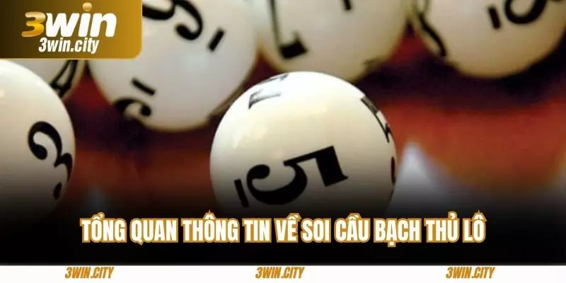 Tổng quan thông tin về soi cầu bạch thủ lô